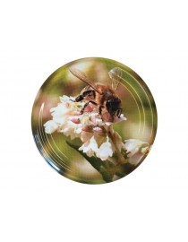 Burkas vāciņš TO-82, Griķu...